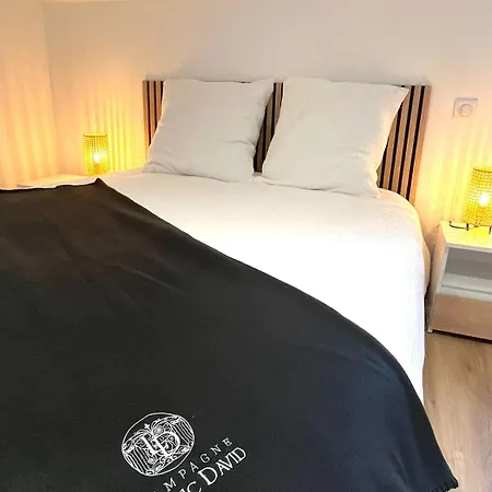 La Maisonnette Champenoise Holiday home *